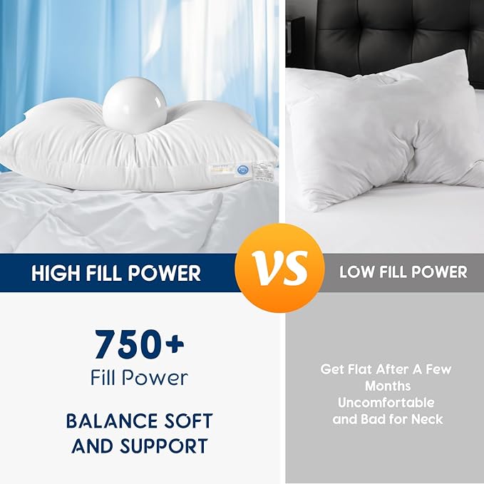 Canadian Fluffy Goose Down Pillow Standard Size 750 Fill Power 80% Goose Down 20% Goose Feather Bed Pillow with 100% Cotton, Teflon Finish Shell Down Pillows Plush and Support (20"X26" Set of 2)