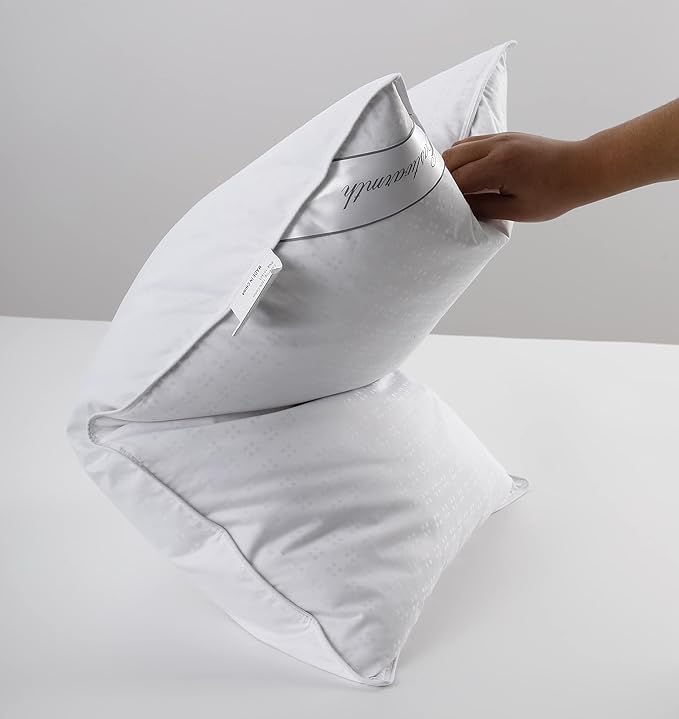 Natural Goose Down&Feather Pair Pillows Insert, Set of 2 Bedding Soft Pillows 100% Soft Cotton Queen 20x30in