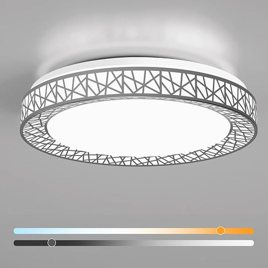 20 Inch Flush Mount Ceiling Light, Modern Brushed Nickel LED Ceiling Light Fixture, 42W 4000LM 2700-6500K Adjustable, Dimmable Ceiling Lights for Bedroom, Kitchen, Hallway, Bathroom, ETL