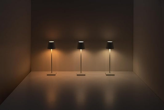 Zafferano Poldina Pro LED Table Lamp (Red) Touch On/Off, Touch Dimmable, Powder Coated Aluminum, IP54 Protection, Indoor/Outdoor, Contact Charging Base, USA Plug, A++ Energy Efficiency