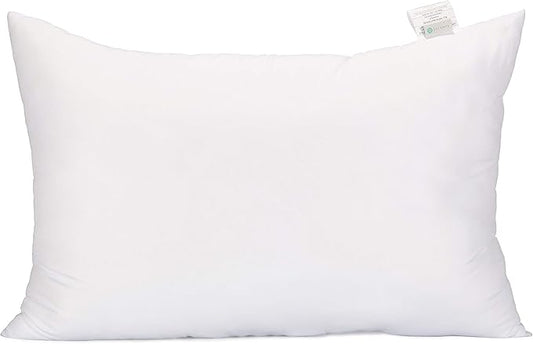 Acanva Fluffy Pillow Insert for Bed Sleeping, Decorative Stuffer Cushion Sham Filler, Standard 20x26 (Pack of 1), White