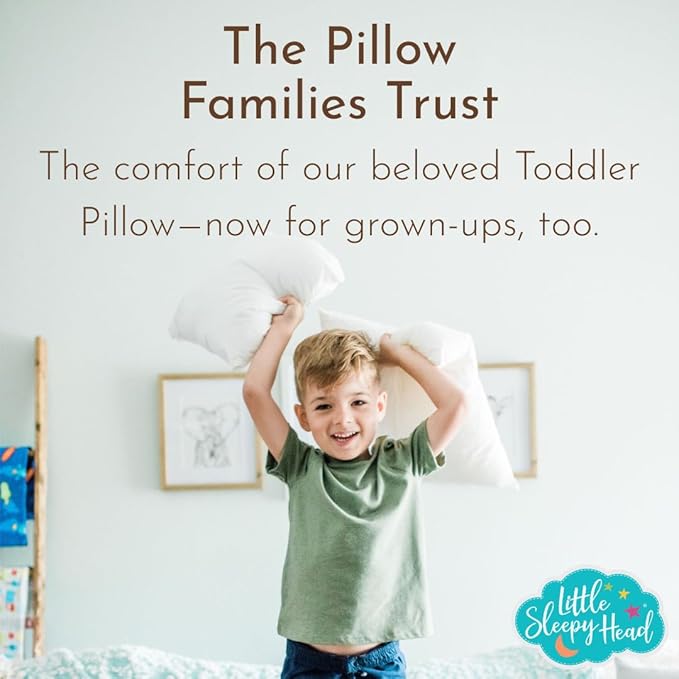 Little Sleepy Head Queen Pillow for Sleeping, Adjustable Loft Bed Pillow with Hypoallergenic Down-Like Fill, Hotel Quality Comfort, Soft or Firm Support - Queen Size Pillow 2 Pack, 20x30