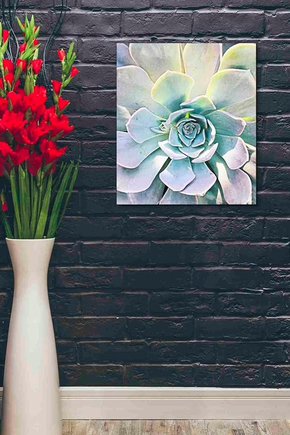 Epic Graffiti 'Unique Succulent' by Irena Orlov, Canvas Wall Art, 20"x24"