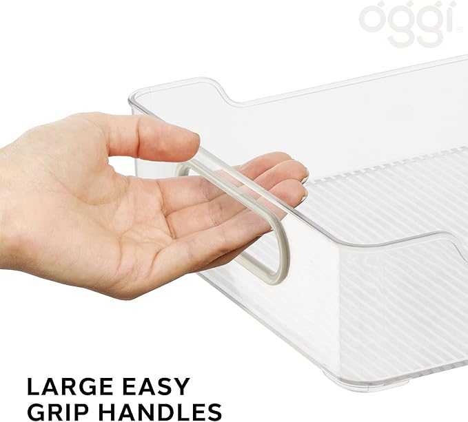 Oggi Cabinet / Drawer Storage Bin (14" x 9.75" x 2.75")