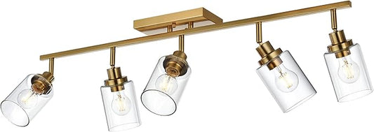 MELUCEE 5-Light Track Lighting Kit Brass Semi Flush Mount Ceiling Light Fixture with 5 Rotatable Light Heads, Modern Accent Lighting for Foyer Art Wall Kitchen, Clear Glass Shade