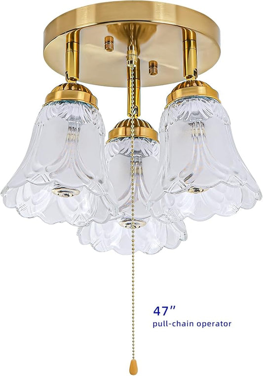 3-Light Flush Mount Ceiling Light with Pull Chain Clear and Frosted Glass Low Profile Lighting Fixtures for Kitchen Living Room Dining Room Closet (Brass)
