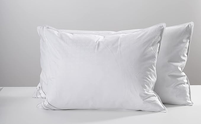 Natural Goose Down&Feather Pair Pillows Insert, Set of 2 Bedding Soft Pillows 100% Soft Cotton Standard 20x26in