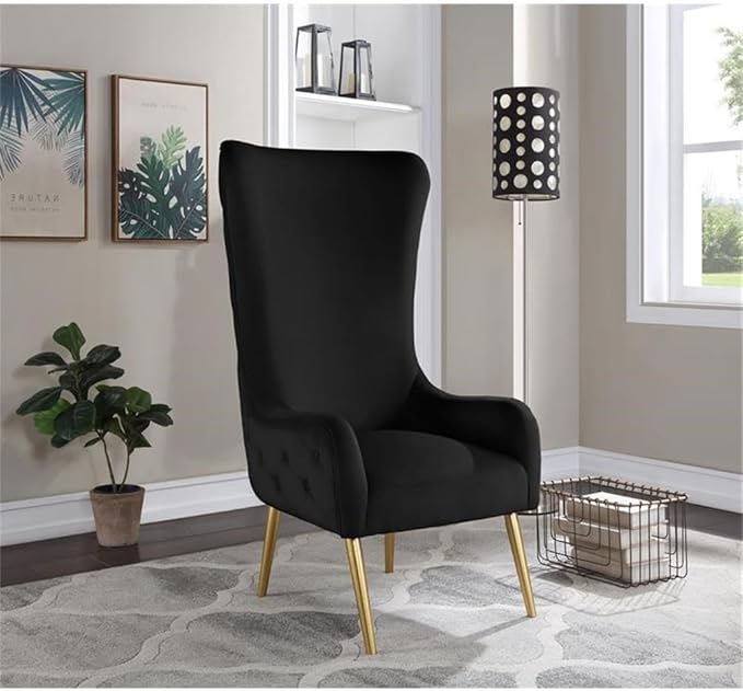 Meridian Furniture 536Black Alexander Collection Modern | Contemporary Velvet Upholstered Accent Chair with Sturdy Gold Metal Legs and Deep Button Tufting on Back, 27" W x 33" D x 51" H