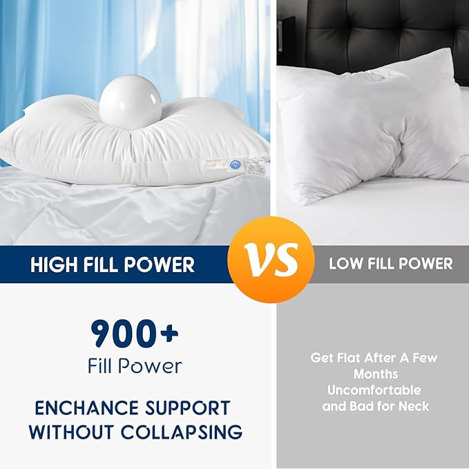 LBRO2M Canadian Fluffy Goose Down Pillow Queen Size 900 Fill Power 80% Goose Down 20% Goose Feather Bed Pillow with 100% Cotton, Teflon Finish Shell Down Pillows Plush and Support (20"X30" Set of 2)
