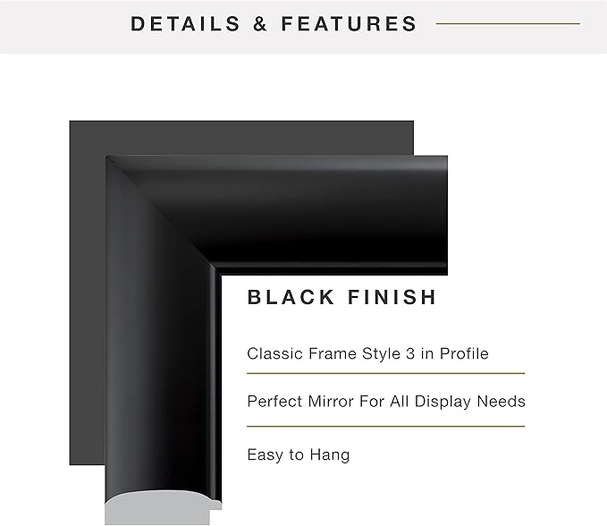 MCS Simplicity 21.5x25.5 Large Wall Mirror, Black & Beveled Detail Mirror, Vertical & Horizontal Wall Hanging Mirror for Bathroom, Bedroom & Livingroom