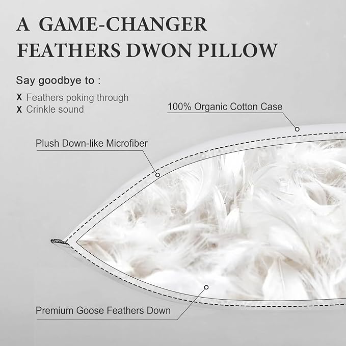 DWR Goose Feather Down Core Pillow Surrounded by Polyester 2 Pack, 100% Organic Cotton Covered, Medium Support, Queen Size Bed Pillow Inserts(20x30, Set of 2)