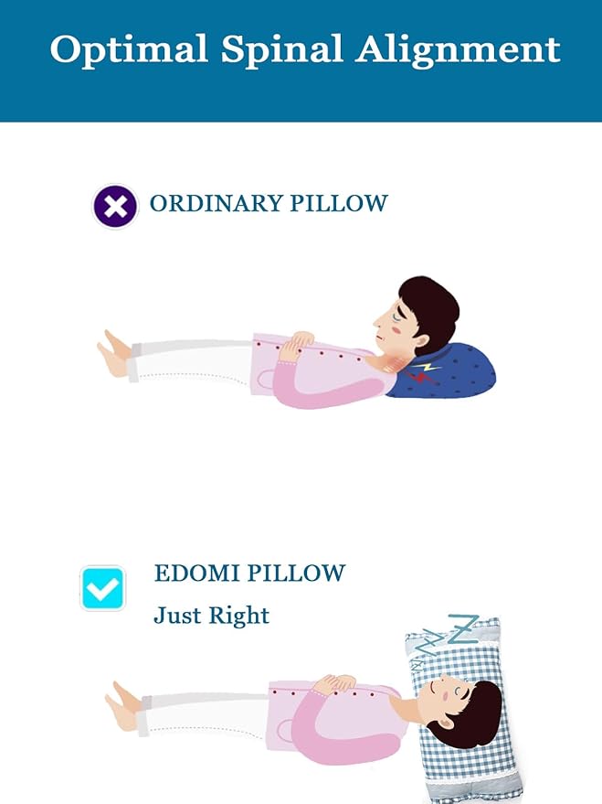 Upgrade Buckwheat Hull Pillow, Small Size Cervical Neck Pillow with Pillowcase, Back Support for Side Sleeper Sleeping or As a Neck Pain Pillows(20x11 Inches, Blue)
