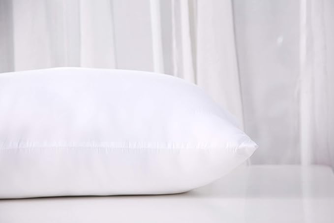 Acanva Fluffy Pillow Insert for Bed Sleeping, Decorative Stuffer Cushion Sham Filler, Standard 20x26 (Pack of 1), White