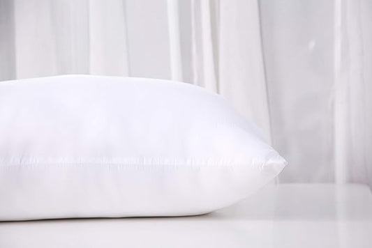 Acanva Fluffy Pillow Insert for Bed Sleeping, Decorative Stuffer Cushion Sham Filler, Standard 20x26 (Pack of 1), White