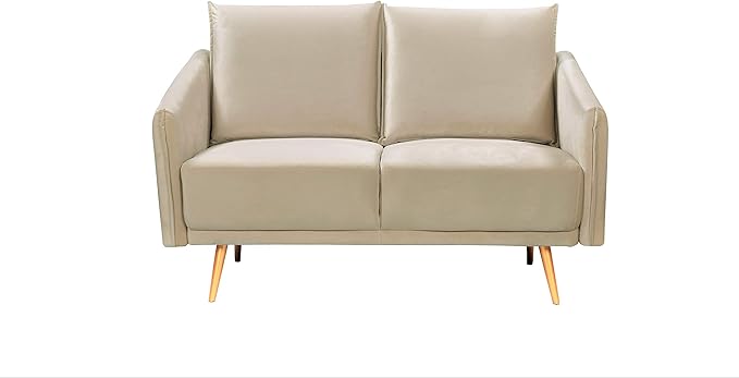 Container Furniture Direct Peterson Ultra Modern Velvet Living Room Loveseat, 44.49", Cream