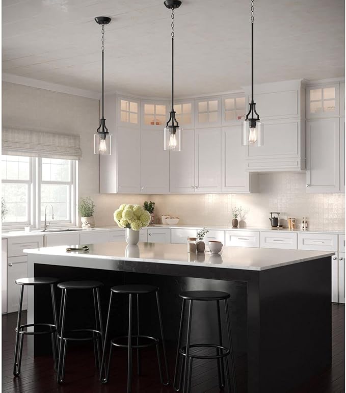Progress Lighting Lassiter Collection 1-Light Clear Glass Modern Pendant Light Matte Black