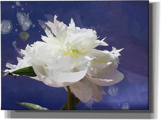 Epic Graffiti 'White Peony-Scents of Heaven' by Irena Orlov, Canvas Wall Art, 54"x40"