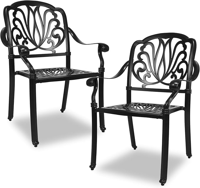 Outdoor Dining Chairs Cast Aluminum, Patio Dining Chairs Set of 2, Conversation Furniture Set for Backyard, Black