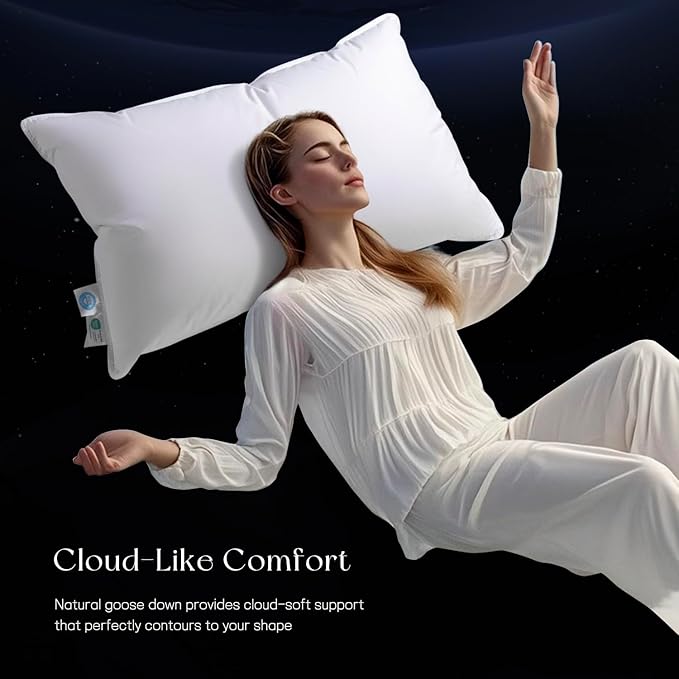 Luxury Down Pillow Queen, Hotel Quality Bed Pillows for Sleeping, 3-Chamber Premium Down Pillow Fluffy Soft for Side, Back Sleepers, 400 Count Cotton Shell, 1 Pack, 20"x30"