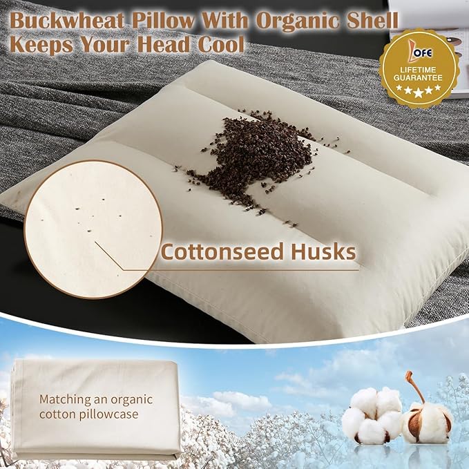 Buckwheat Pillow with Organic Cotton Pillowcase - 20''x26'' Organic Buckwheat Pillow with Baffle Box for Support, Adjustable Tartary Buckwheat Hull Pillows, Organic Buckwheat Neck Pillows