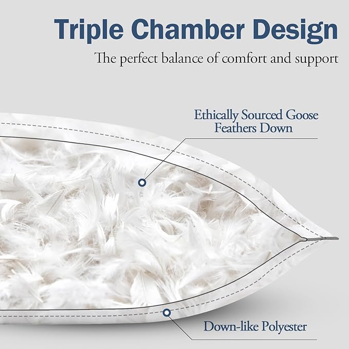 BPC Luxury Hotel Goose Feather Down Pillows Queen Size Set of 2, Medium Firm Bed Pillows for Sleeping, Organic Cotton Cover, Soft Yet Supportive Down Alternative Surround, RDS Certified, White 20"x30"