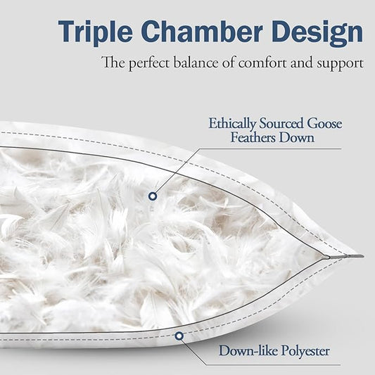 BPC Luxury Hotel Goose Feather Down Pillows Queen Size Set of 2, Medium Firm Bed Pillows for Sleeping, Organic Cotton Cover, Soft Yet Supportive Down Alternative Surround, RDS Certified, White 20"x30"
