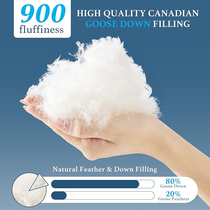 Canadian White Goose Down Pillow Queen Size- 900+ Fill Power, Soft Down Pillows for Sleeping, Fluffy Hotel Luxury Bed Pillows for Neck Pain Relief, Side Sleeper Pillow (1 Pack, 20"x30")