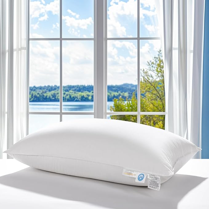 LBRO2M Canadian Fluffy Goose Down Pillow King Size 1050 Fill Power 80% Goose Down 20% Goose Feather Bed Pillow with 100% Cotton, Teflon Finish Shell Down Pillows Plush and Support (20"X36", Set of 1)