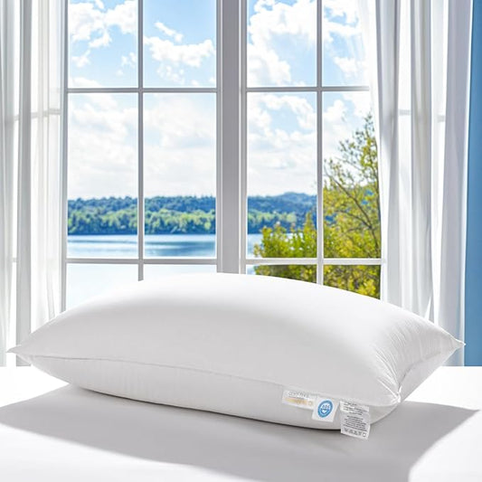 LBRO2M Canadian Fluffy Goose Down Pillow King Size 1050 Fill Power 80% Goose Down 20% Goose Feather Bed Pillow with 100% Cotton, Teflon Finish Shell Down Pillows Plush and Support (20"X36", Set of 1)