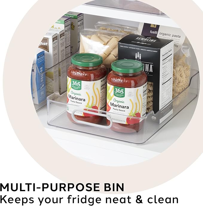 Oggi Cabinet / Drawer Storage Bin (14" x 9.75" x 2.75")