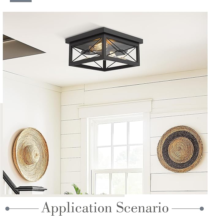 Emliviar 12 Inch Ceiling Light Fixture, 2-Light Flush Mount Ceiling Light in Black Finish, 0387B-CL BK