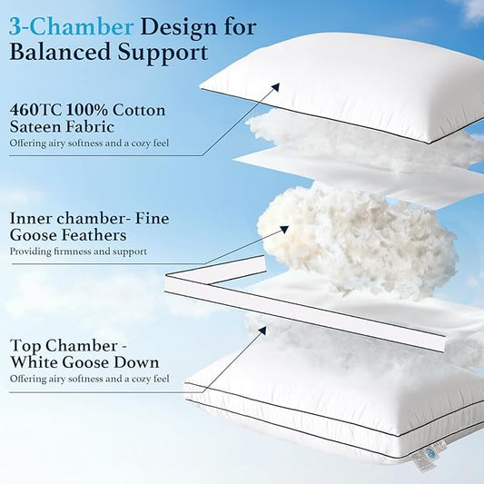 RDS Certified Goose Feather & Down Pillows, 3-Chamber Gusseted Design for Balanced Neck Support, 100% Cotton Cover, Hotel Style Bed Pillow for Side and Back Sleepers | Queen Size Set of 2, 20" x 30"