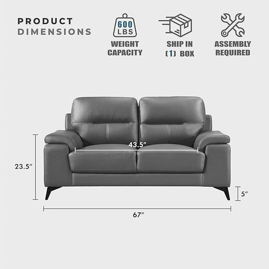 Lexicon Leather Loveseat Sofa, Modern Couch Sofa, Oversized Loveseat, Top Grain Leather Couch for Living Room, Bedroom, Office, Apartment, 2-Seater Loveseat, Dark Gray