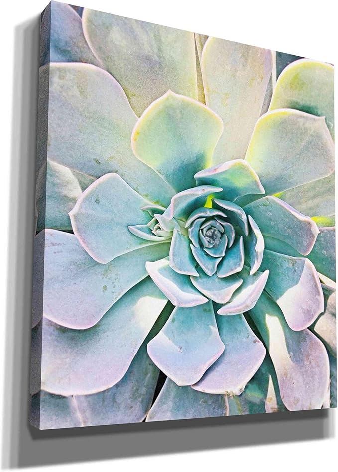 Epic Graffiti 'Unique Succulent' by Irena Orlov, Canvas Wall Art, 26"x30"