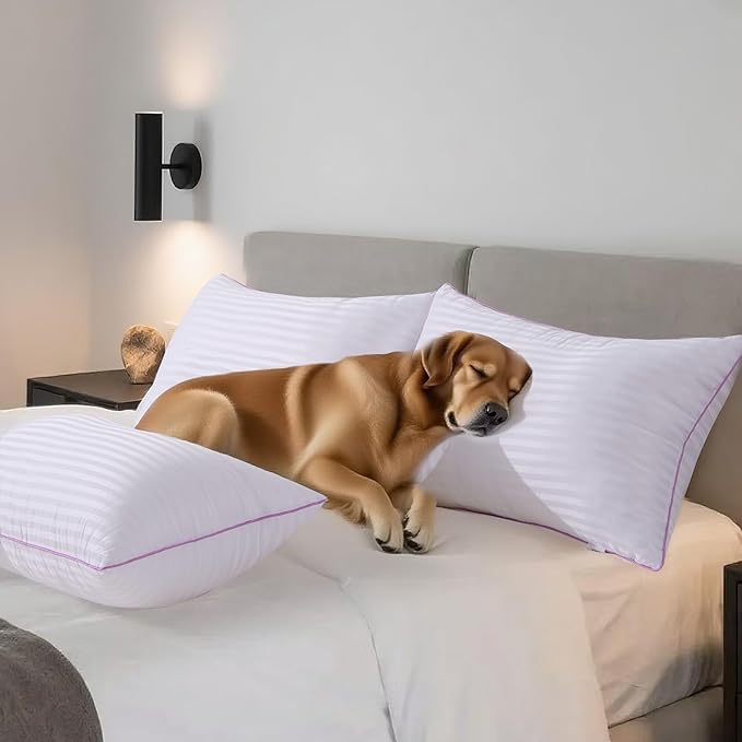 VAINOC Pillows Queen Size Set of 2,Breathable Hotel Collection Bed Pillows for Sleeping Medium Soft Down Alternative Microfiber Filled,20 x 30 Inches