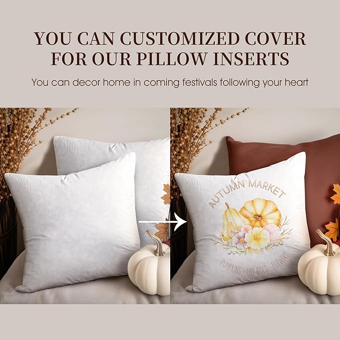 Blue Ridge Home Fashions Feather Down Pillow Square Euro Size Set of 2 Pack Customized Halloween/Christmas Decorations Throw Pillow for Livingroon/Bedroom
