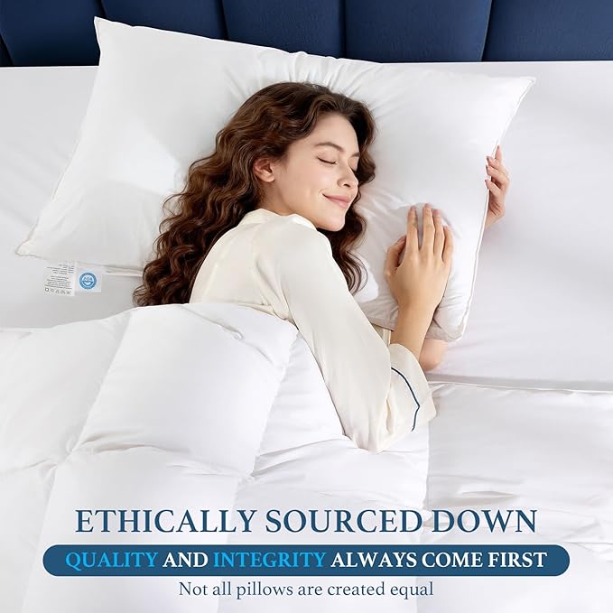 Canadian White Goose Down Pillow Queen Size- 900+ Fill Power, Soft Down Pillows for Sleeping, Fluffy Hotel Luxury Bed Pillows for Neck Pain Relief, Side Sleeper Pillow (1 Pack, 20"x30")