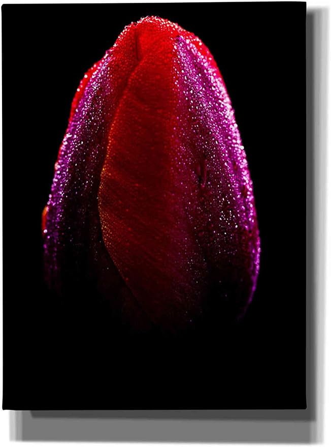 Epic Graffiti 'Wet' by Darren White, Canvas Wall Art, 12" x 16"