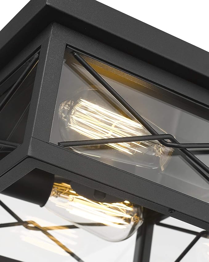 Emliviar 12 Inch Ceiling Light Fixture, 2-Light Flush Mount Ceiling Light in Black Finish, 0387B-CL BK