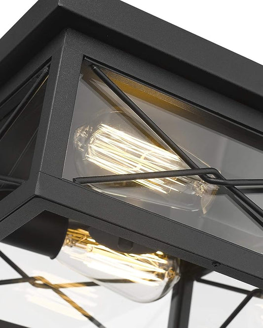 Emliviar 12 Inch Ceiling Light Fixture, 2-Light Flush Mount Ceiling Light in Black Finish, 0387B-CL BK