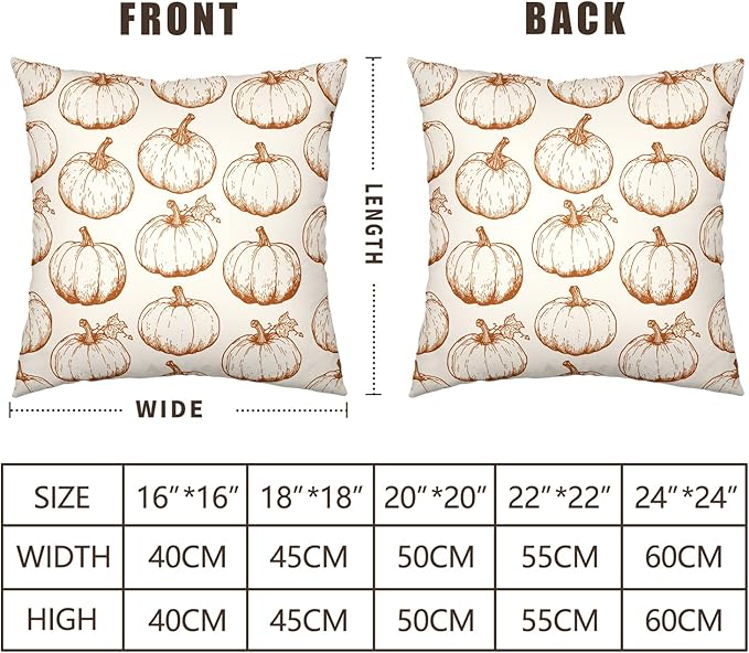 Fall Pumpkin Outdoor Pillow Covers 24x24 Set of 2 Autumn Thanksgiving Harvest Throw Pillows Case Burnt Orange White Farmhouse Fall Holiday Cushion Covers for Sofa Couch Bed Decor