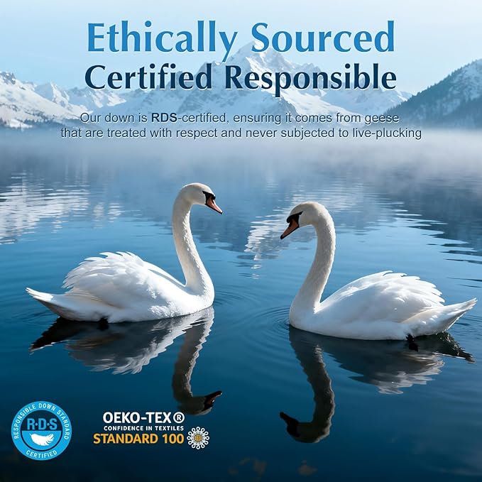 Luxury Goose Feather Down Pillow King Size, 3-Chamber 5 Star Hotel Pillow for Deep Sleep, Soft Bed Pillows for Neck Pain Relief, Perfect for Side, Back Sleepers, 100% Cotton Shell (1 Pack,20"x36")