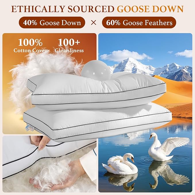 Premium Canadian Goose Down Pillow Queen Size Set of 2 Pack, 900+ Fill Power, 100% Cotton Shell, Luxury Hotel Quality Bed Feather Pillow for Side Back Stomach Sleepers(White,20" x 30")