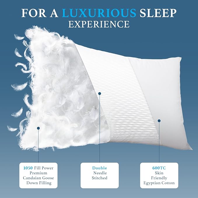 Canadian White Goose Down Pillows King Size Set of 2-1050+ Fill Power, Soft Down Pillow for Sleeping, Fluffy Hotel Luxury Bed Pillows for Neck Pain Relief, Side Sleeper Pillow - 20"x36"
