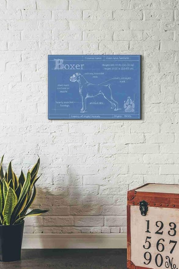 Epic Graffiti 'Blueprint Boxer' by Ethan Harper Canvas Wall Art, 26"x18"