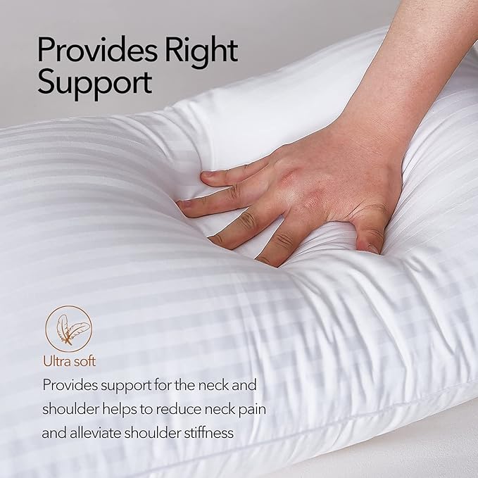 Acanva Bed Pillows for Sleeping,Premium Fluffy and Soft 3D Fiber Filled, Perfect for Back, Stomach & Side Sleepers, Queen (Pack of 2), White 2 Count