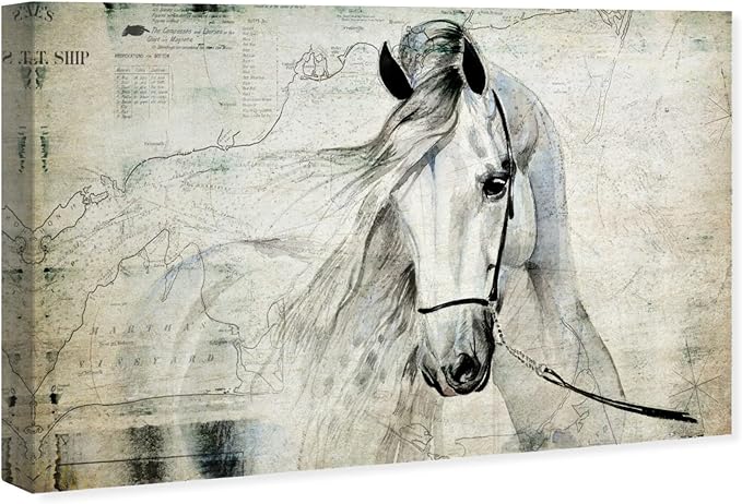 The Oliver Gal Artist Co. Oliver Gal 'Antiqus Equus' Gray Equestrian Wall Art Print Premium Canvas, 45" x 30"