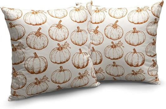 Fall Pumpkin Outdoor Pillow Covers 24x24 Set of 2 Autumn Thanksgiving Harvest Throw Pillows Case Burnt Orange White Farmhouse Fall Holiday Cushion Covers for Sofa Couch Bed Decor