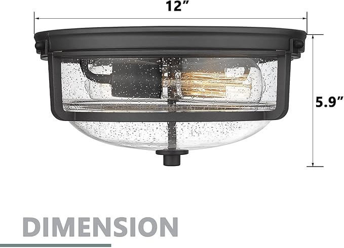 Emliviar 12 Inch Ceiling Light with Seeded Glass Shade - Indoor Outdoor Modern Flush Mount Ceiling Light Fixture, Black Finish, WE249F BK