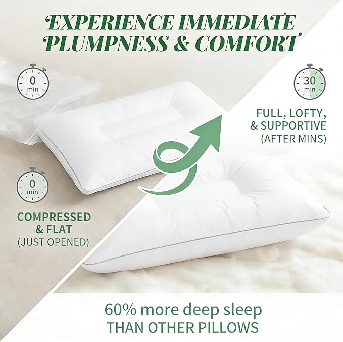 Goose Down Pillow, Standard Size Set of 1 with 3-Layer Design, Hotel Down Bed Pillow for Side, Back, and Stomach Sleepers, Soft 600 Thread Count Cotton Cover–Luxury Hotel Pillows Quality(20" x 26")